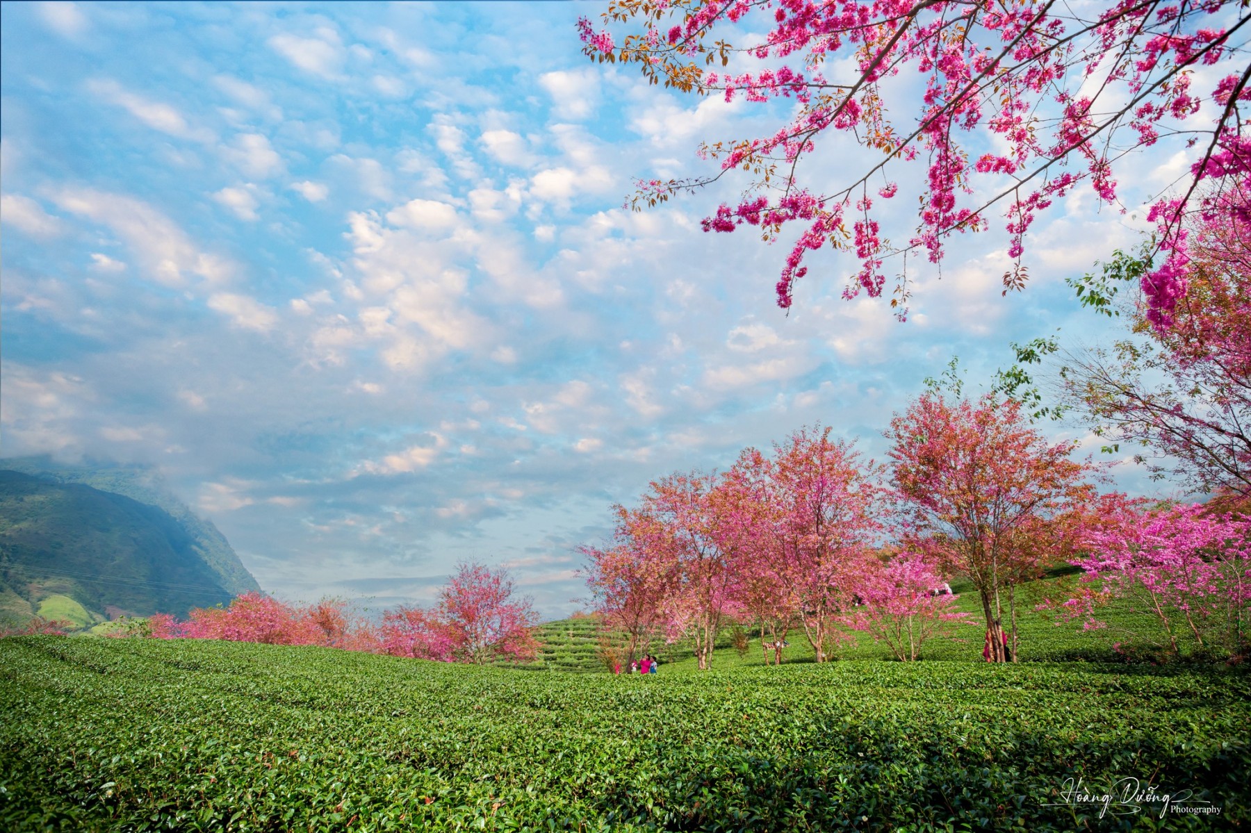 Tour liên tuyến miền núi giá rẻ - Khám phá địa danh miền Bắc nổi tiếng