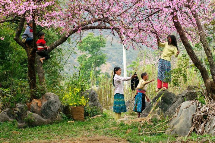 Tour du lịch Hà Giang giá rẻ - Chiêm ngưỡng những mùa hoa rực rỡ!
