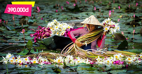 Tour Miền Tây 1 ngày