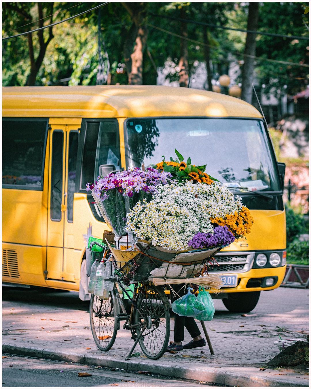 Trần Quang Đại