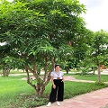 Nguyễn Thị Thanh Hương