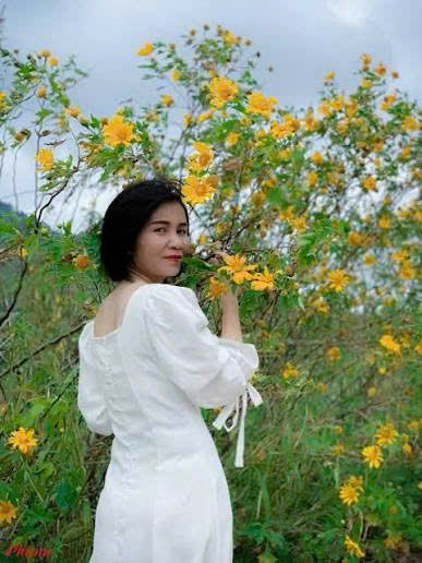 Đăng Tuyền 