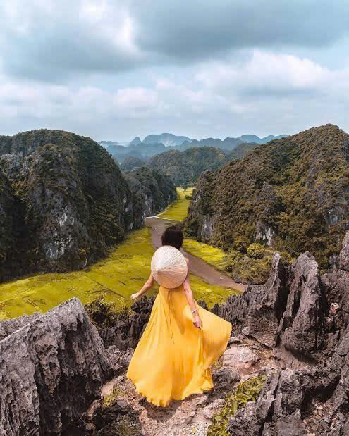 Anh Trần 