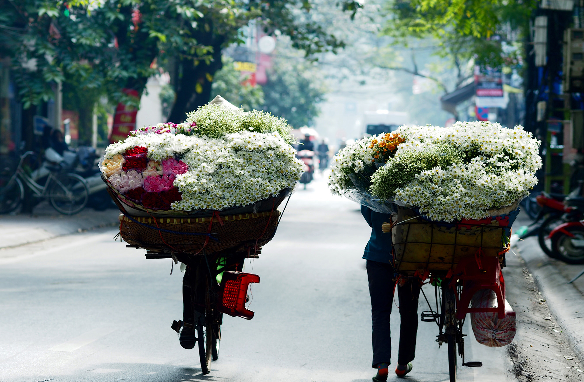 Phạm Hoài Thương