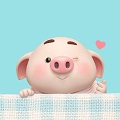 Phuong pig