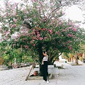 Nguyễn Hồng Mai