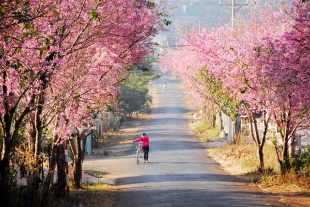 đà lạt tháng 6 có mưa không 