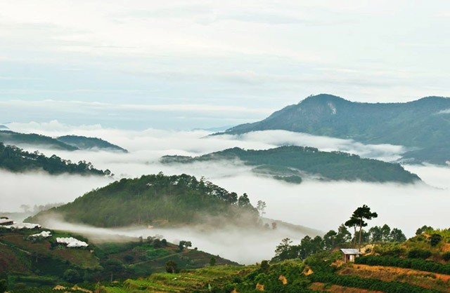 đà lạt tháng 6 có mưa không 