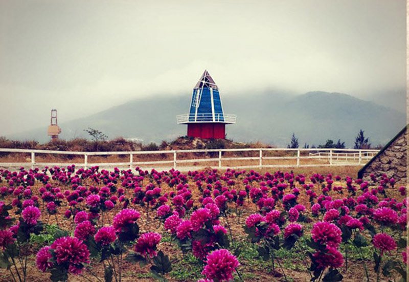 thuận phước feild