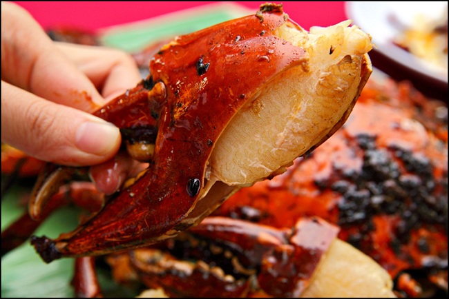 Cù Lao Chàm, hải sản tươi ngon- giá cực rẻ