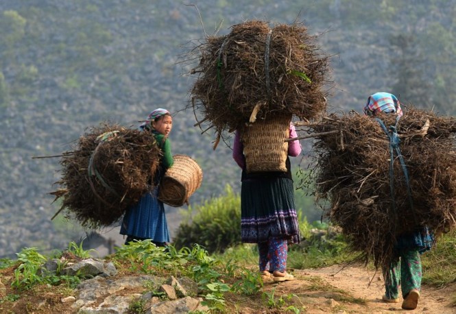 Đến Mèo Vạc tìm hiểu cuộc sống người dân nơi đây