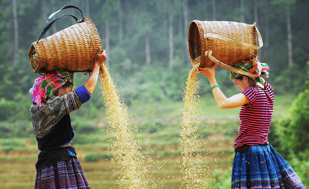 Niềm vui về một mùa màng bội thu