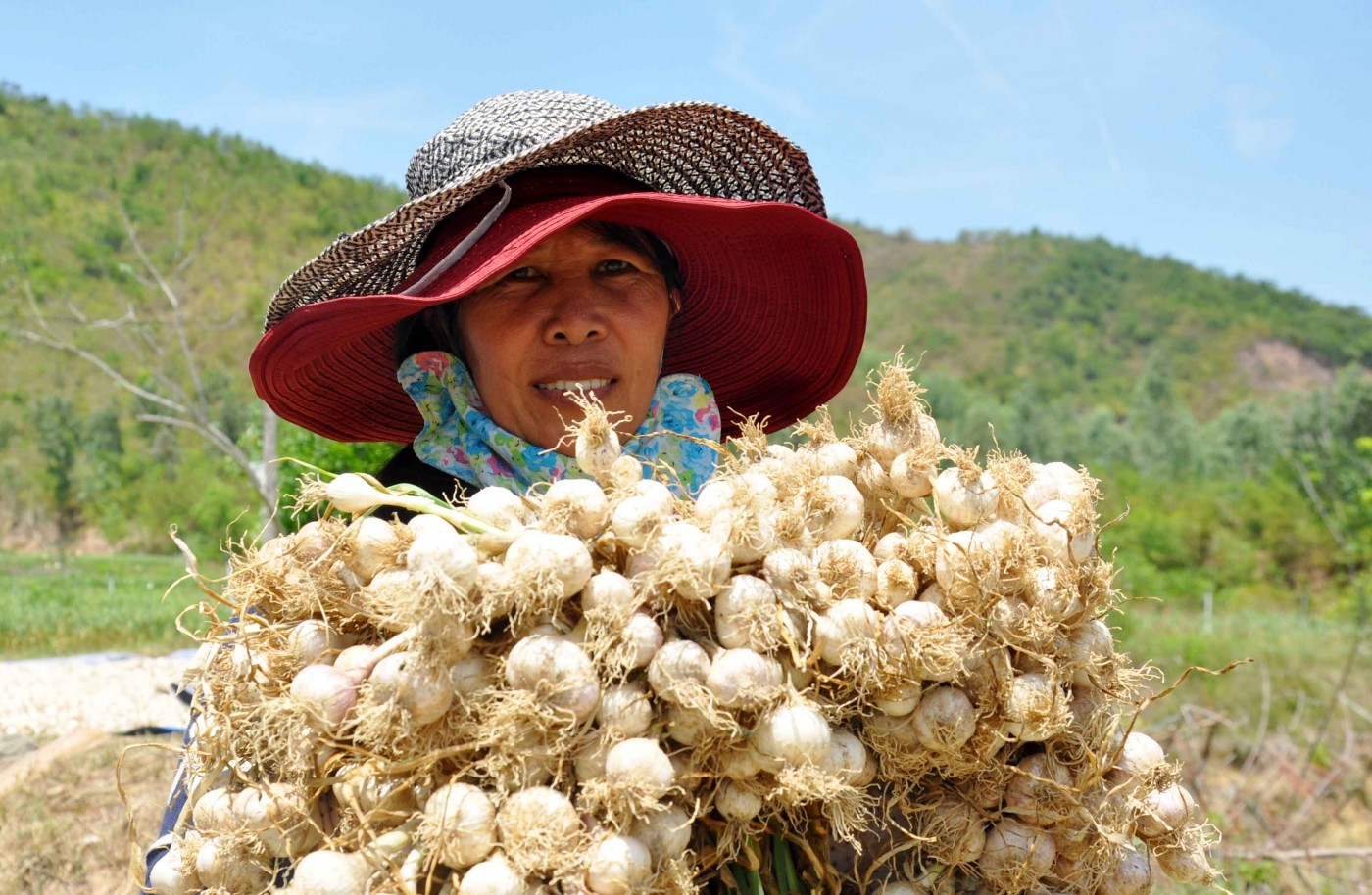 chơi gì ở Đảo Bé Lý Sơn