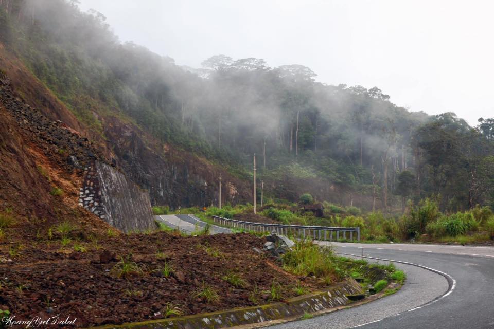 Con đường biển và hoa dài 140km