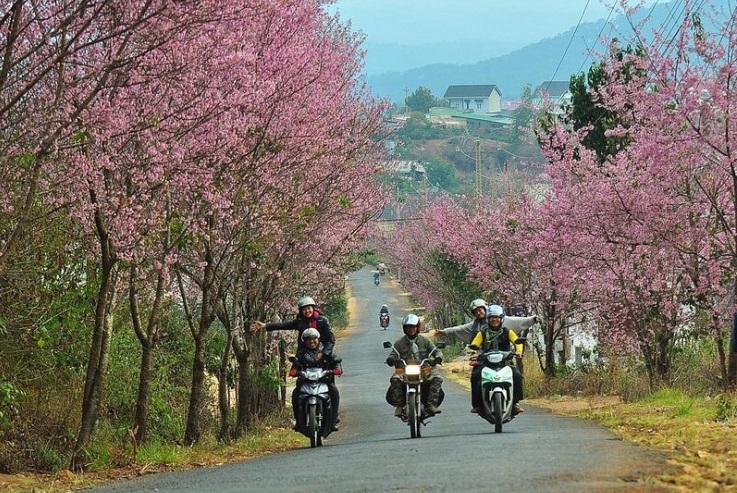Hướng dẫn du lịch Đà Lạt tự túc bằng xe máy