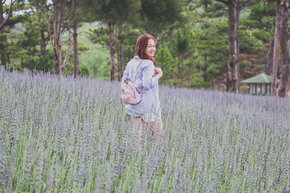Check-in vườn hoa lavender, những lưu ý khi đi du lịch Đà Lạt bạn cần nhớ