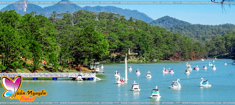 TOUR ĐÀ NẴNG ĐÀ LẠT THUNG LŨNG TÌNH YÊU 