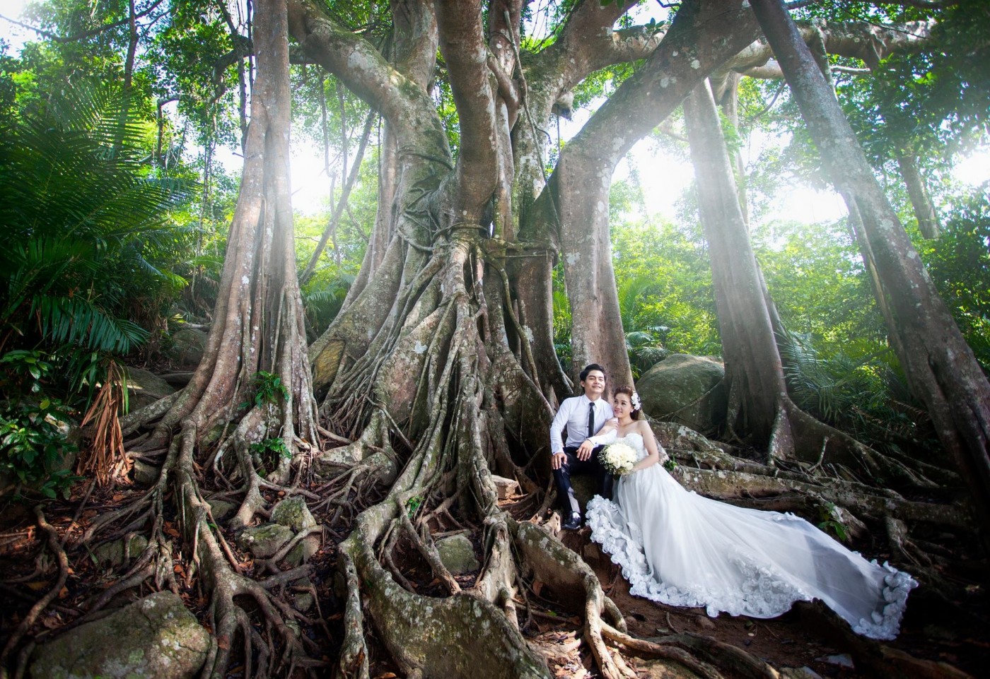 bán đảo sơn trà đà nẵng