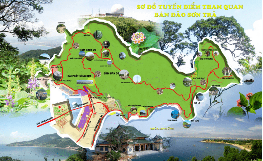 Bản đồ bán đảo Sơn Trà Đà Nẵng