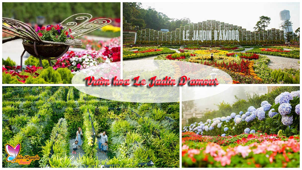 vườn hoa Le Jardin D’Amour
