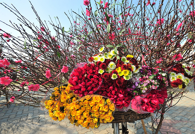 Hà Nội, địa điểm du xuân miền Bắc với chiếc xe bán hoa dạo mang cả mùa xuân