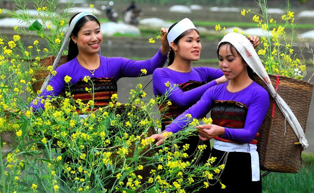 Mộc Châu, địa điểm du xuân miền Bắc mang vẻ đẹp đặc trưng Tây Bắc