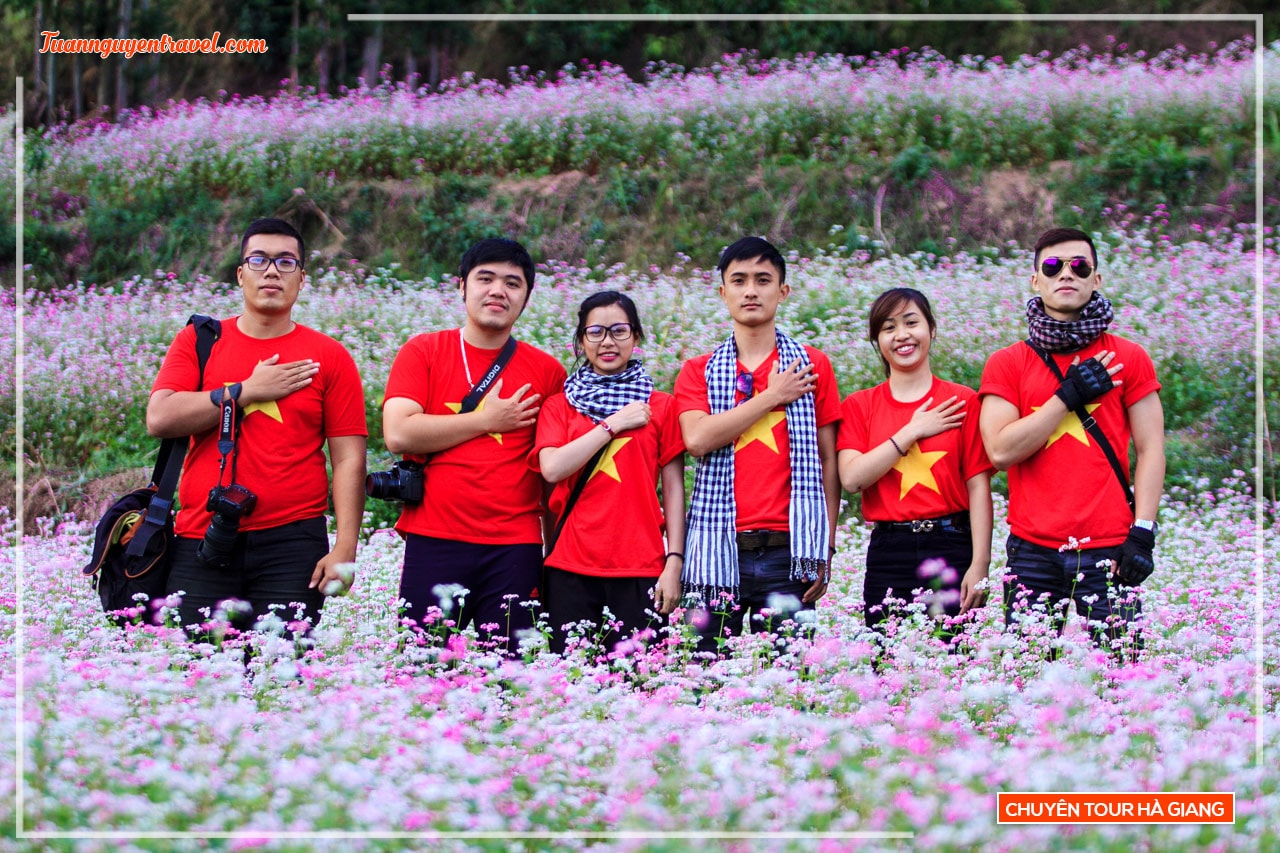 Check- in Hà Giang mùa hoa tam giác mạch