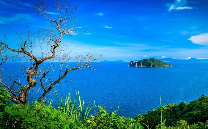 du lịch hòn nưa phú yên