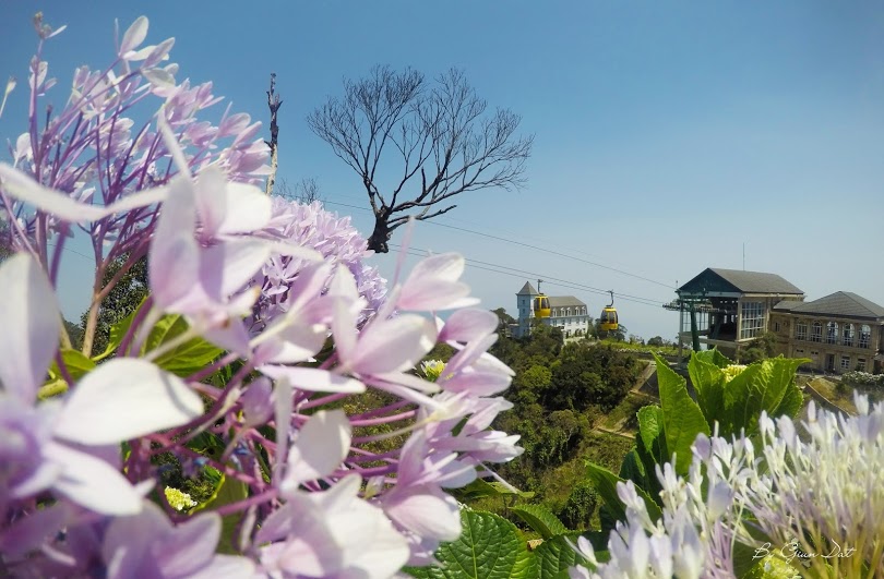 hướng dẫn du lịch Bà Nà Hills