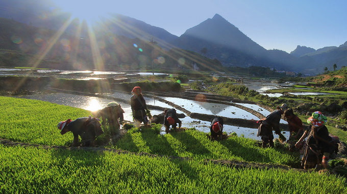 Du lịch Sapa tháng 5, bắt trọn khoảnh khắc tuyệt đẹp