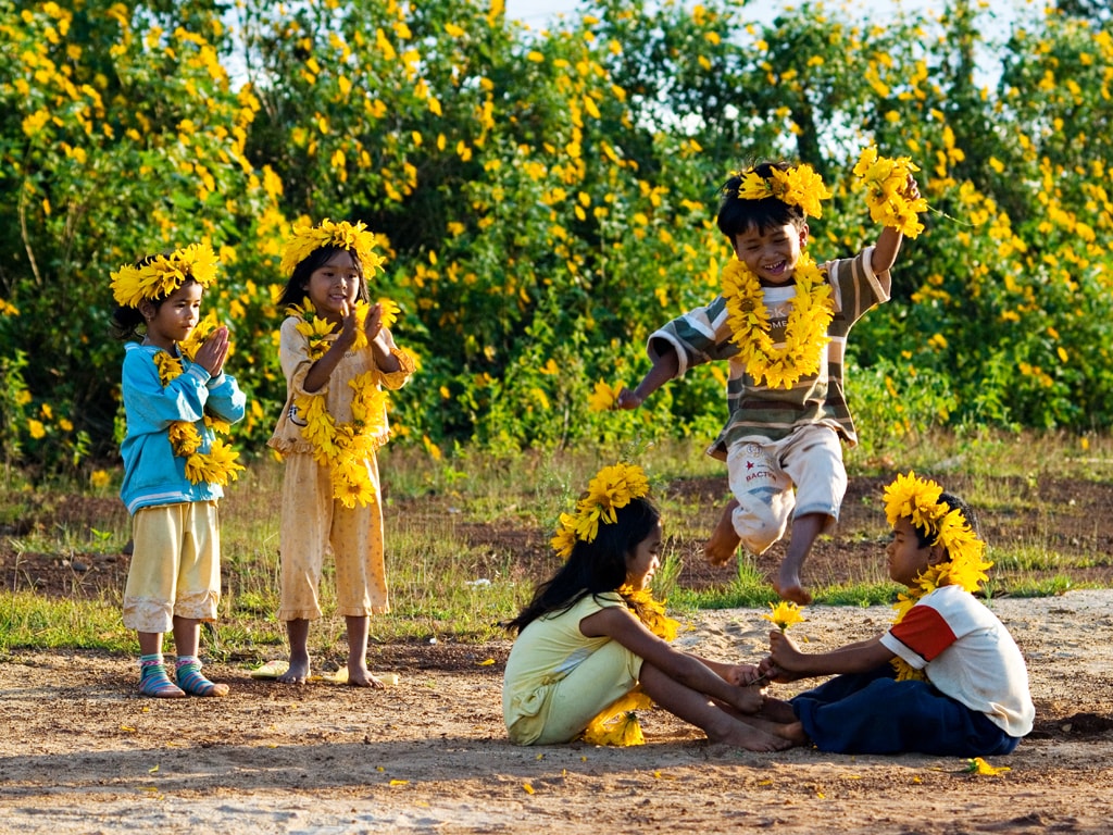 Đà Lạt có hoa Oải Hương không