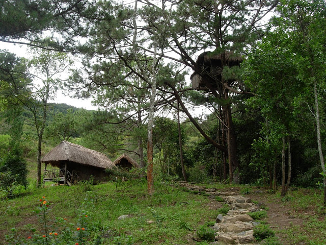 Tại khu du lịch sinh thái, những cánh rừng nguyên sinh luôn được bảo tồn