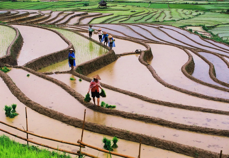 Đi Hà Giang mùa nào đẹp nhất nếu không phải là mùa nước đổ