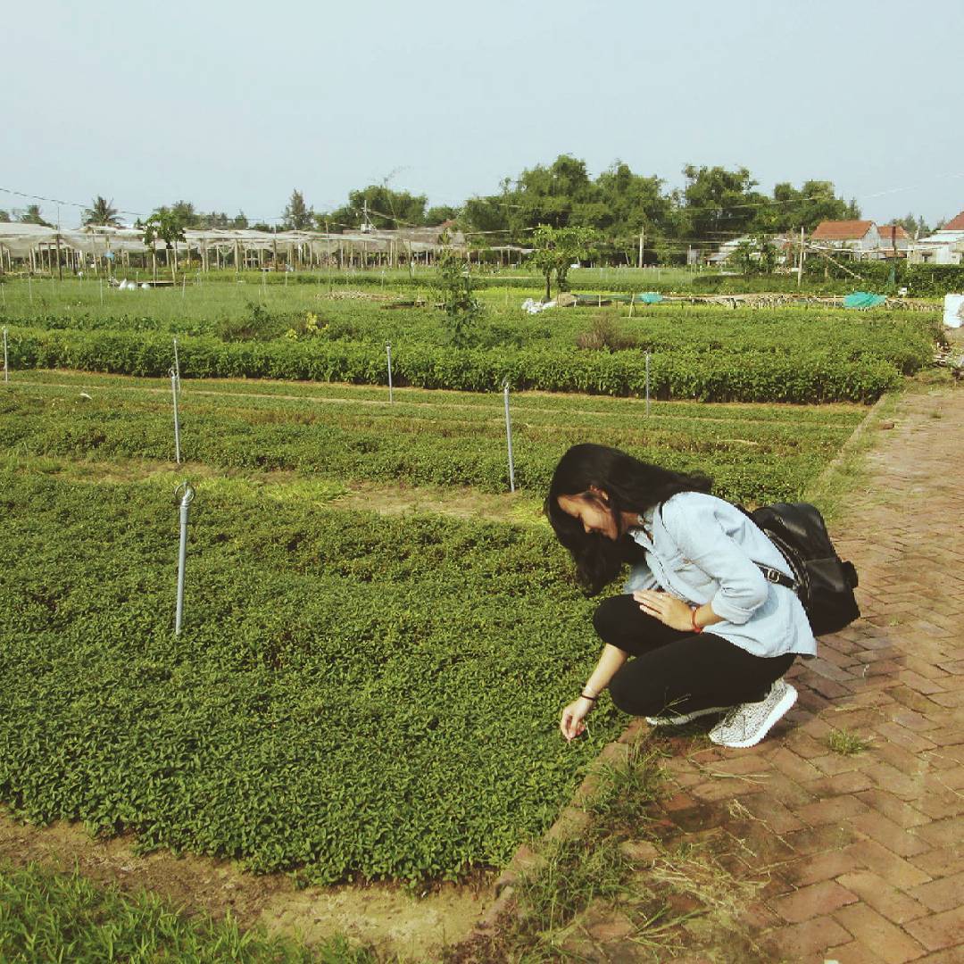 địa điểm du lịch quanh Hội An