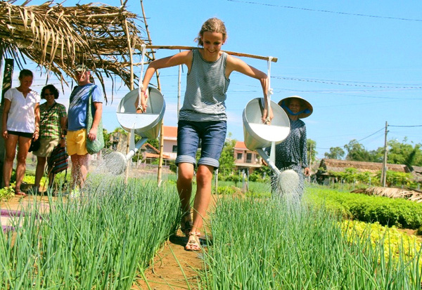 Làng rau Trà Quế Hội An