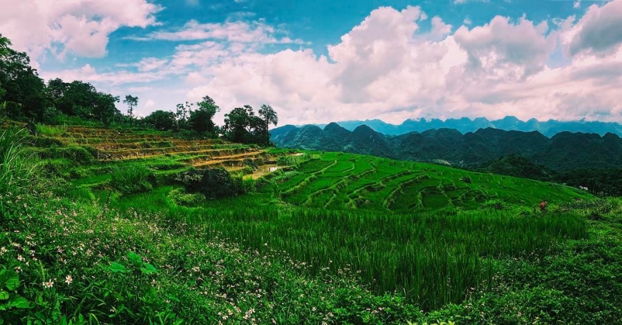 Cảnh đẹp thiên nhiên Mai Châu