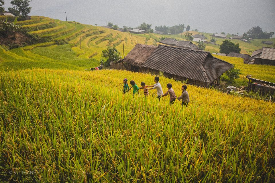 Hà Giang mùa lúa chín- mùa bội thu, mùa ấm no