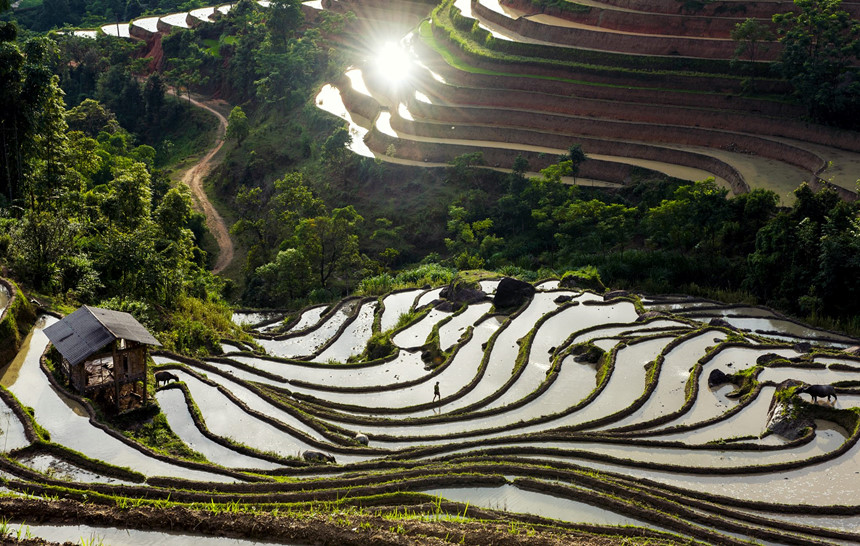 Ruộng bậc thang Hoàng Su Phì vào mùa nước đổ