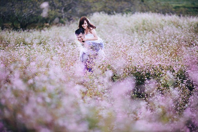 Lưu lại bức ảnh cưới đẹp ở cánh đồng hoa tam giác mạch Mộc Châu