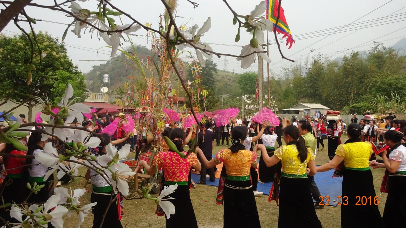 Hoa ban Mộc Châu tháng 3