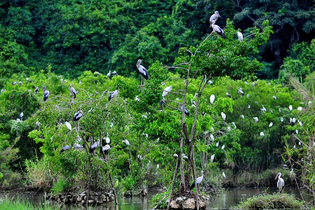 Khu du lịch sinh thái Ninh Bình