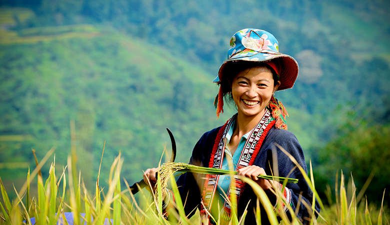 Nụ cười Hà Giang mùa lúa chín