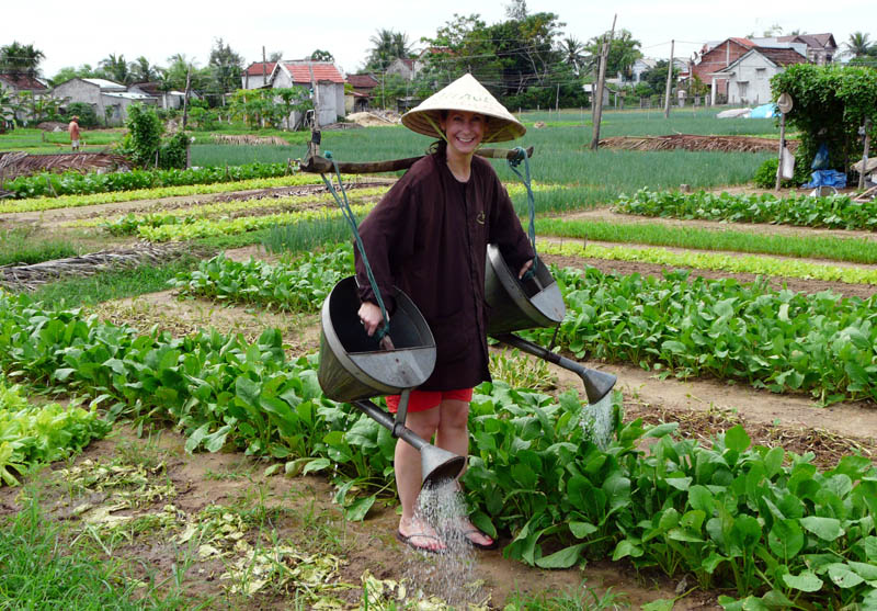 làng rau trà quế