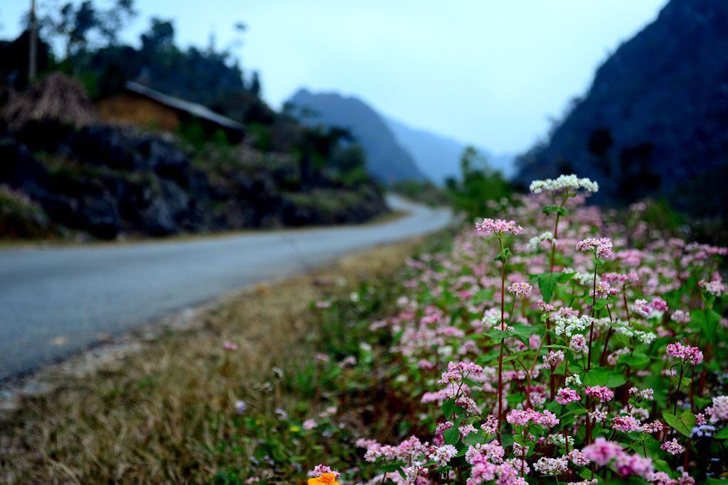 Lịch trình phượt Hà Giang bằng xe máy - Dừng lại Phó Bảng nơi được mệnh danh thị trấn ngủ quên