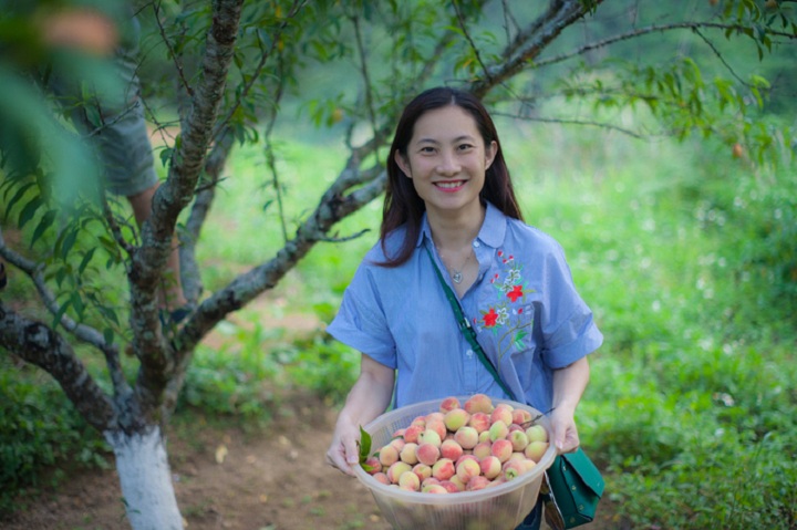 Trải nghiệm thú vị khi được tự tay hái những đào