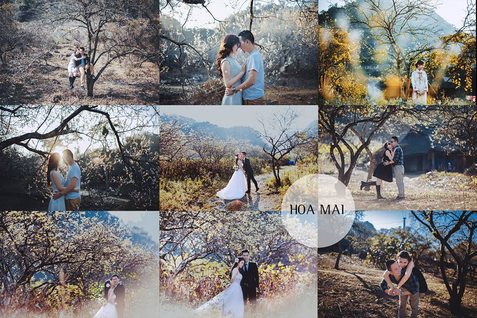 Bộ ảnh cưới lãng mạn ở Mộc Châu, Sơn La