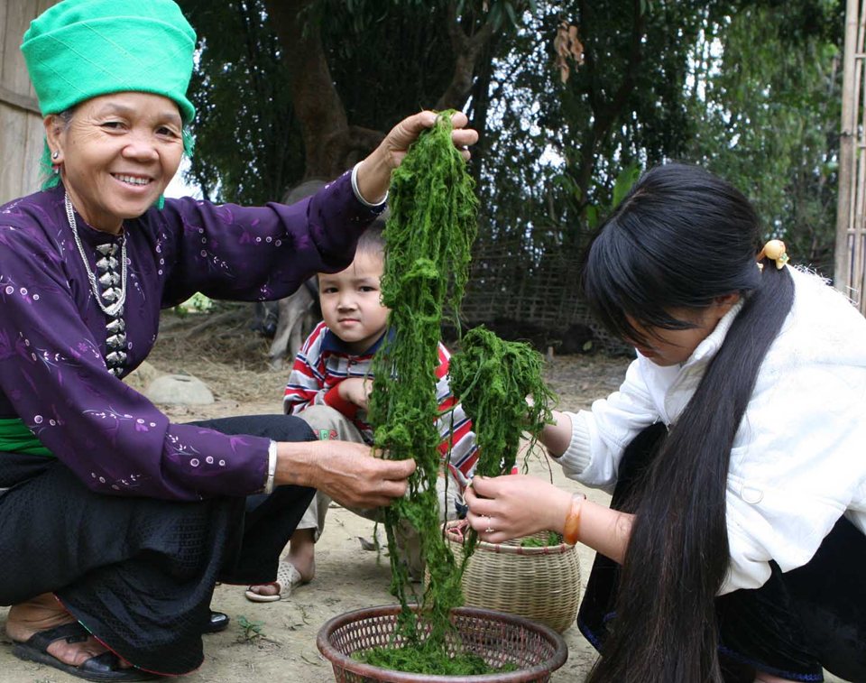 Rêu nướng, món ăn lạ miệng hấp dẫn