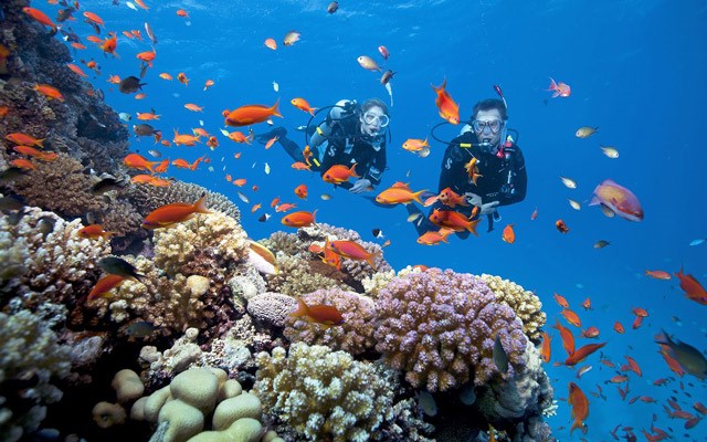 Phú Quốc, nổi tiếng với những rặng san hô tự nhiên