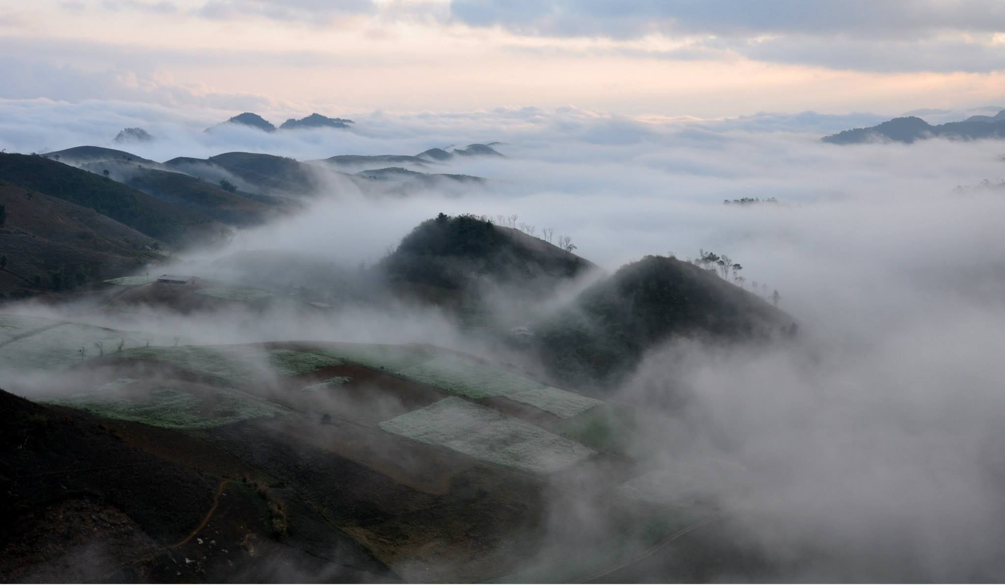 Cảnh đẹp Mộc Châu Sơn La trong sương sớm huyền ảo
