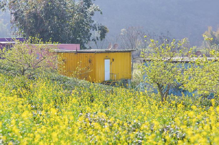 Container Mộc Châu, homestay thiết kế ấn tượng